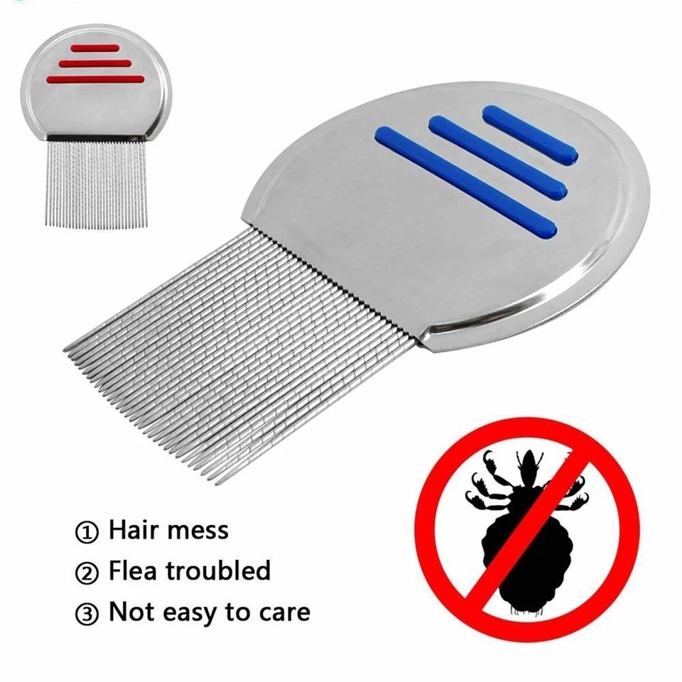 Chinese Lice comb/চাইনিজ উকুনের চিরুনি